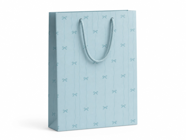 Baby Boy Gift Bag – Large (6 Pack)