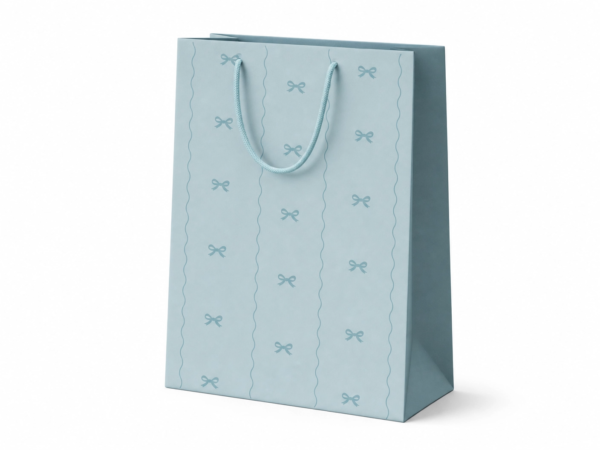 Baby Boy Gift Bag – Large (6 Pack)